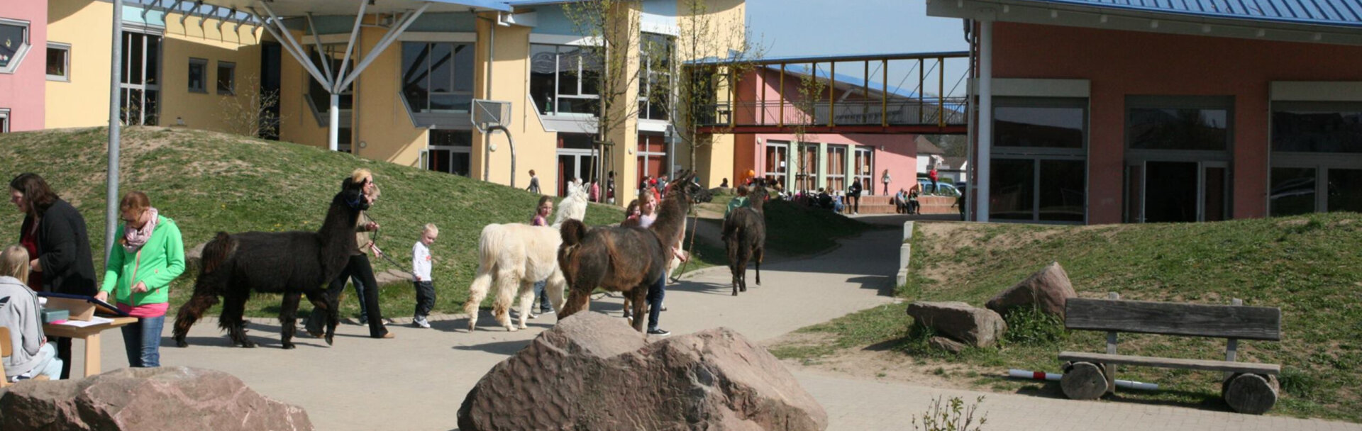 Außengelände mit lamaführung-conten-therapien-ESENT-parzival-zentrum-karlsruhe Außengelände mit lamaführung-conten-therapien-ESENT-parzival-zentrum-karlsruhe