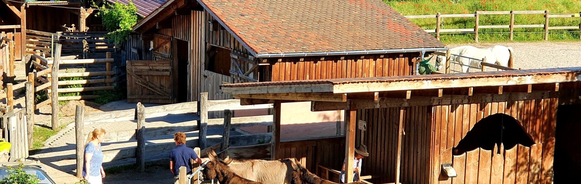 20210615_081823 20210615_081823