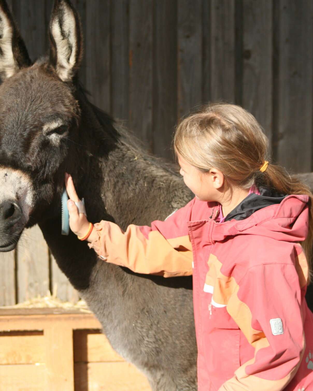 Ambulanz_Tierintervention_Eselpflege_Einzel_Mädchen Ambulanz_Tierintervention_Eselpflege_Einzel_Mädchen