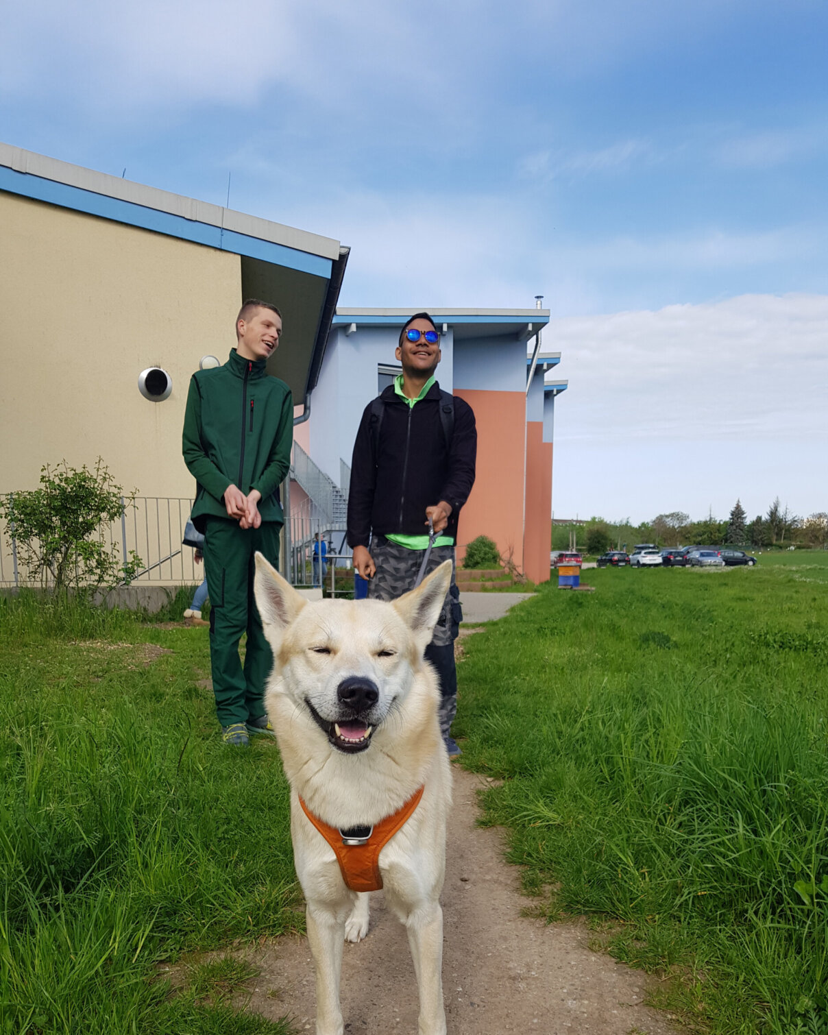 spaziergang-hund-2-content-lebens--und-werkgemeinschaft-parzival-zentrum-karlsruhe spaziergang-hund-2-content-lebens--und-werkgemeinschaft-parzival-zentrum-karlsruhe