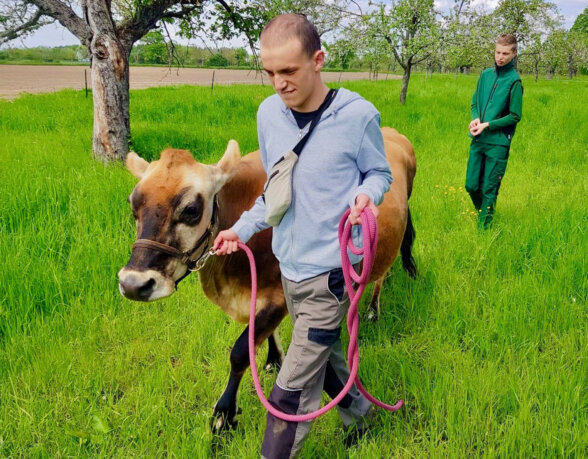 spaziergang-mit-kuh-content-lebens--und-werkgemeinschaft-parzival-zentrum-karlsruhe