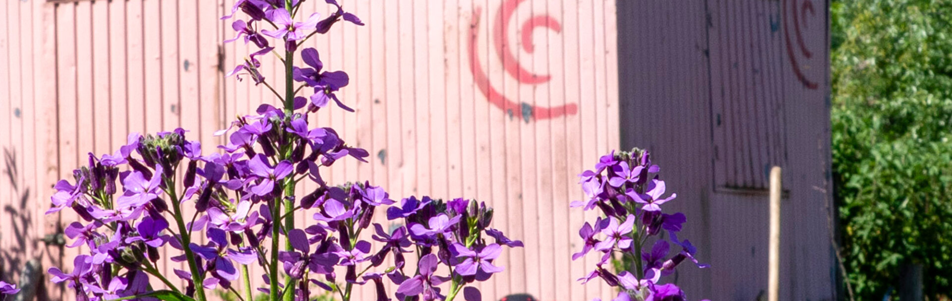 wagen-content-sbbz-gent-parzival-zentrum-karlsruhe wagen-content-sbbz-gent-parzival-zentrum-karlsruhe