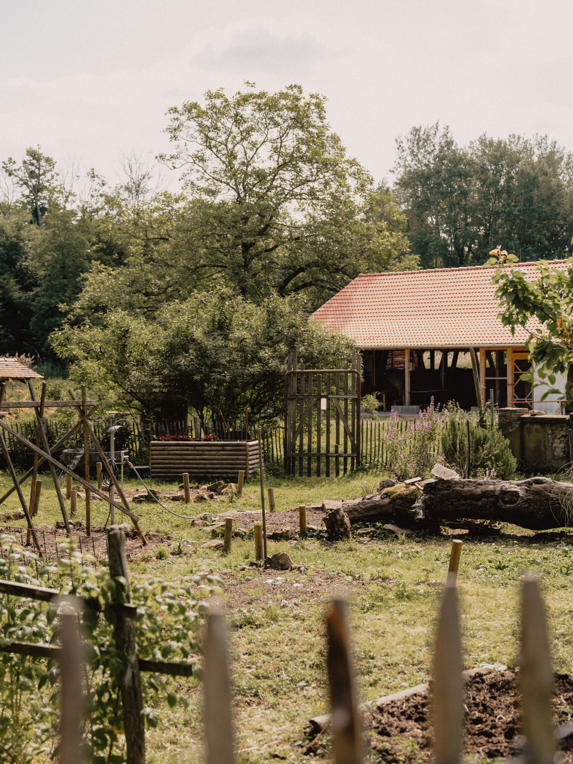 birkenhof-außenbild-content-wohngruppen-jugendhilfe-parzival-zentrum-karlsruhe