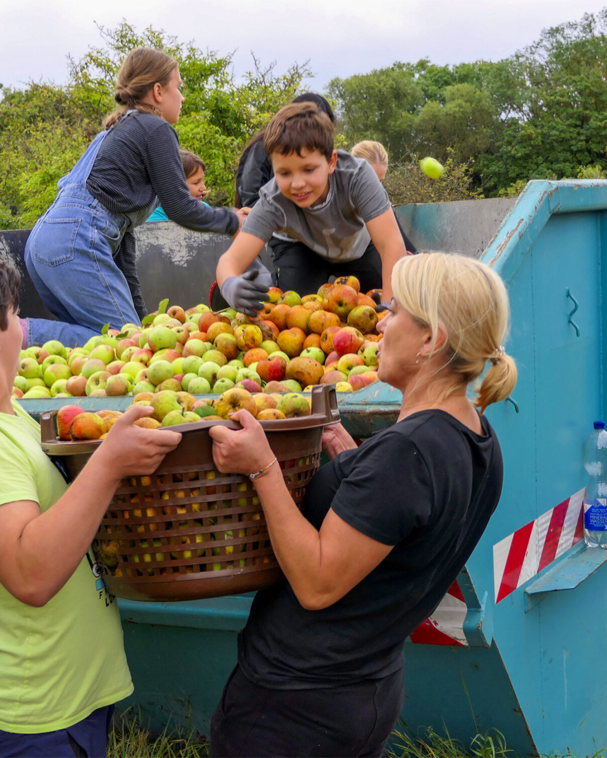 gemeinsames-sammeln-frischer-aepfel-content-Sonnenhof-parzival-zentrum-karlsruhe gemeinsames-sammeln-frischer-aepfel-content-Sonnenhof-parzival-zentrum-karlsruhe