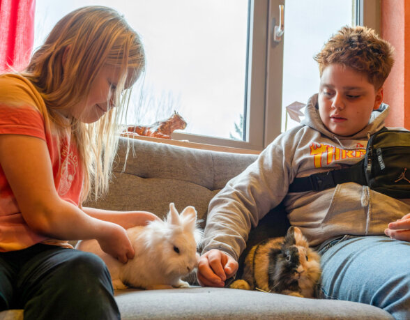 kinder-spielen-und-kuscheln-mit-loewenkopfkaninchen-nachmittags-und-ferienbetreuung-parzival-zentrum-karlsruhe kinder-spielen-und-kuscheln-mit-loewenkopfkaninchen-nachmittags-und-ferienbetreuung-parzival-zentrum-karlsruhe