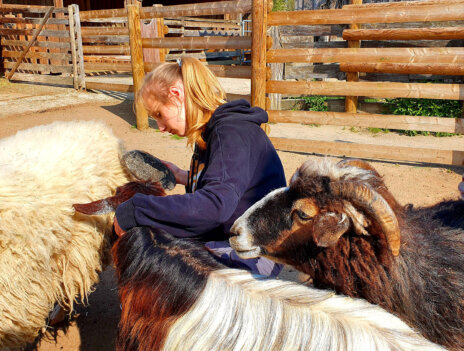 mädchen-kümmert_sich-um-tiere-sonnenhof-parzival-zentrum-karlsruhe