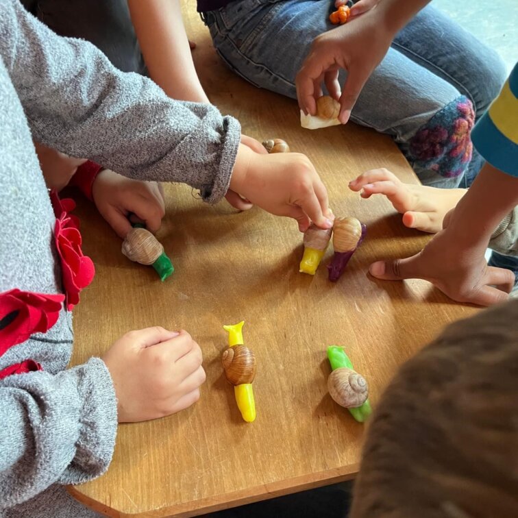 Kinderhände mit Schneckenhäusern-KSS-parzival-zentrum-karlsruhe
