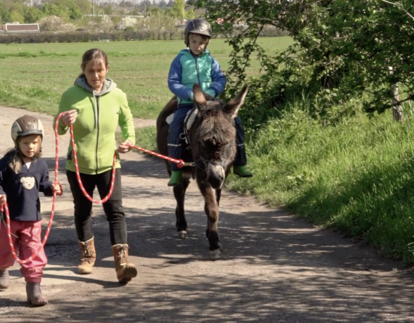Tiergestützte Pädagogik-Interventionen-Ambulanz für Notfallpädagogik-Parzival-Zentrum-Karlsruhe Tiergestützte Pädagogik-Interventionen-Ambulanz für Notfallpädagogik-Parzival-Zentrum-Karlsruhe